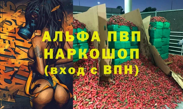 стафф Ладушкин