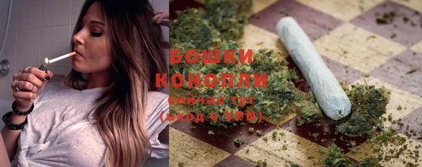 стафф Ладушкин